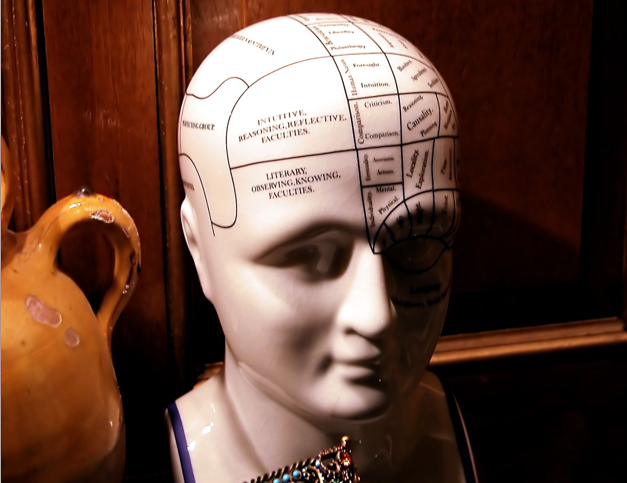 vida-es cerebro
