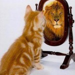 Efecto Dunning Kruger blog vida es salud