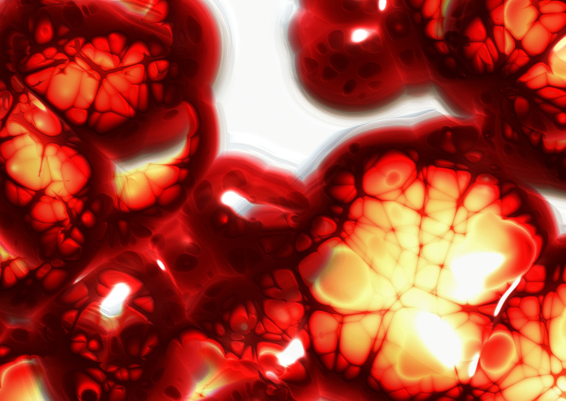 cells-75305_1920